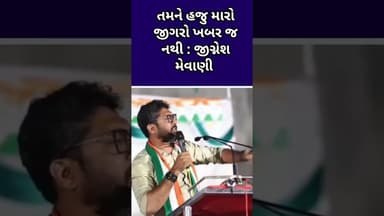 તમને હજુ મારો જીગરો ખબર જ નથી : જીગ્નેશ મેવાણી
