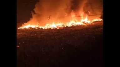 ठाकुरद्वारा: भोजपुर के जंगलों में ई-कचरा माफिया सक्रिय, रातों-रात जलाया जा रहा ज़हरीला कचरा