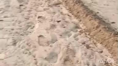 વિસનગર: નિષ્ફળ બિયારણથી ખેતી નિષ્ફળ: ખેડૂતે સેવા સહકારી મંડળી સામે ગ્રાહક સુરક્ષામાં કરી વળતરની માંગ