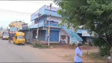 தஞ்சாவூர்: பன்றிகள் தொல்லை தாங்க முடியலை...நாஞ்சிக்கோட்டை மக்கள் கதறல்