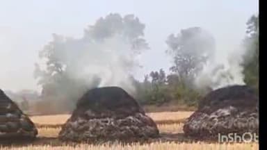 गोरेगाव: घूमर्रा येथे धानाचे पुजने जळाले, 1 लाख 60 हजार रुपयाचे नुकसान