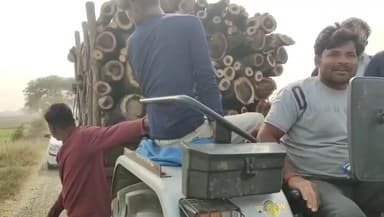 कौंच: फुलैला-कोंच मार्ग पर तस्कर काट रहे हरे पेड़, ट्रैक्टर में लादकर लकड़ियां ले जाने का वीडियो आया सामने
