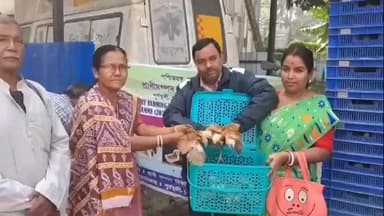 পূর্বস্থলী ১: স্বনির্ভরতার লক্ষ্যে জাহাননগর পঞ্চায়েত এলাকায় প্রাণিসম্পদ দপ্তরের উদ্যোগে মুরগির ছানা প্রদান কর্মসূচি
