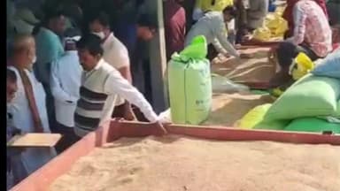 ખંભાત: ખંભાત APMCમાં ડાંગરની જંગી આવક, કૃષ્ણ કમોદના સર્વોચ્ચ ભાવ