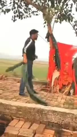 मेजा: सिरसा गाँव में पहलवान वीर बाबा चबूतरे से हटाया गया इस्लामिक झंडा, भाजपा मंडल ने हटवाया, बना चर्चा का विषय