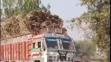 मोहम्मदी: ओवरलोड गन्ने से भरे ट्रक का संचालन जारी
