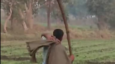 गंगधार: कुंडला व रावणगुराड़ी के समीप पैंथर की मूवमेंट देखी गई, दो दिन पूर्व कर चुका है हमला