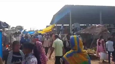 ଅମ୍ବାଭୋନା: ଅମ୍ବାଭୋନା ବ୍ଲକ ର ମୁଖ୍ୟ ସାପ୍ତାହିକ ବଜାର ଭୁକ୍ତା ରେ ଆଜି ପନିପରିବା ଦର ଆକାଶଛୁଆଁ, ଖାଉଟି ହନ୍ତସନ୍ତ, ଦେଖନ୍ତୁ ମତାମତ