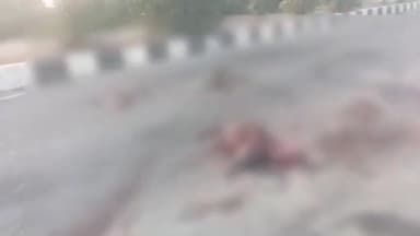 బోధన్: ఎడపల్లి - నవీపేట రహదారిపై గుర్తుతెలియని వాహనం ఢీకొని అడవి పందులు మృతి