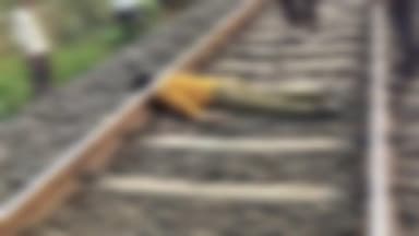 परसवाड़ा: कुम्हारी के पास रेलवे ट्रैक पर 11वीं के छात्र इंद्रजीत का शव मिला, इलाके में सनसनी, पुलिस जांच में जुटी