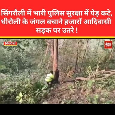 सिंगरौली में भारी पुलिस सुरक्षा में पेड़ कटे, धीरौली के जंगल बचाने हजारों आदिवासी सड़क पर उतरे
#singraulinews #BaigaTrib...