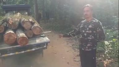 আউশগ্রাম ২: আউশগ্রামের জঙ্গলমহলে বেআইনিভাবে শালগাছ কাটার অভিযোগ উঠেছে এক সিভিক ভলেন্টিয়ার্স সহ চারজনের বিরুদ্ধে, শোরগোল এলাকায়