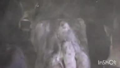 पुरवा: थाना पुरवा क्षेत्रांतर्गत हुई पुलिस मुठभेड़ के संदर्भ में क्षेत्राधिकारी श्री तेज बहादुर सिंह ने दी जानकारी