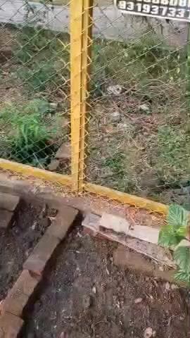 सुभाष का छोटा सा फार्म हाउस है
#subhashbetul #फॉर्महाउस
@subhashbetul