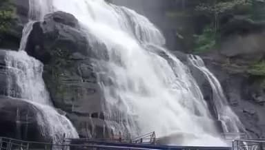 தென்காசி: பிரதானஅருவியில் ஆறு தினங்களுக்கு பிறகு குளிக்க அனுமதி