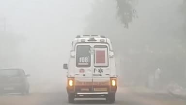 ఏటూరునాగారం: ములుగు ఏజెన్సీని కమ్మిన మంచు దుప్పటి