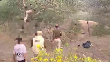 पुष्कर: पुष्कर के पास जंगल में फंदे पर लटकी मिली युवक की लाश, सूचना मिलने पर पुष्कर थाना पुलिस मौके पर पहुंची
