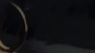 रेवदर: रेवदर के अनापुर मामाजी मंदिर के पास रात के अंधेरे में तीन भालूओं का एक साथ दिखा मुवमेंट, ग्रामीणों में दहशत