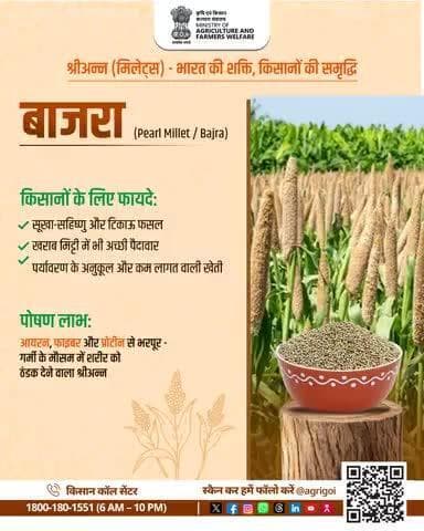 श्रीअन्न बाजरा- यह पर्यावरण के अनुकूल एवं कम लागत वाली खेती का उत्कृष्ट उदाहरण है। #ShreeAnna #AgriGoI