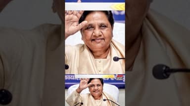 Mayavati Noida छह दिसंबर को बड़ी रैली. #reels #bsp #mayavati #noida