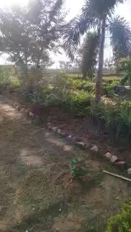 SIS ट्रेनिंग सेंटर चकाई जमुई में एक दिसंबर 2025 को भरी संख्या में सिक्योरिटी गार्ड की बहाली बहाली