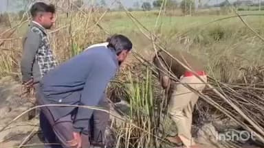 शिकारपुर: पहासू थाना क्षेत्र के गांव खेड़ा में तेदुआ के मामले की जांच के लिए वन विभाग की टीम मौके पर पहुंची