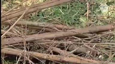 ସିମୁଳିଆ: ମନୋହରପୁର ଗ୍ରାମ ର ନିଖୋଜ ଯୁବକ ର ପରିତ୍ୟକ୍ତ ପୋଖରୀ ର ମୃତ ଦେହ ଉଦ୍ଧାର