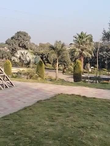 चेतना उद्यान अंबिकापुर में प्रकृति के प्रति श्री भरत लाल गुप्ता जी का विचार सुनिए