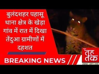 #बुलंदशहर के #पहासू थाना क्षेत्र के खेड़ा गांव में रात में दिखा तेंदुआ ग्रामीणों में दहशत।