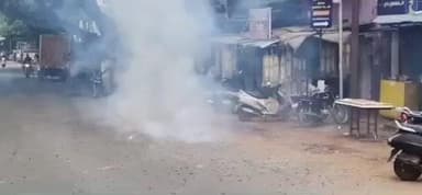 செங்கோட்டை: துணை முதலமைச்சர் பிறந்த நாளை முன்னிட்டு 49 கிலோ கேக் வெட்டி கொண்டாட்டம்