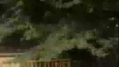 जसवंतनगर: जसवंतनगर के मोहल्ला कटरा बिल्लोचियान के बिजली ट्रांसफार्मर में लगी भीषण आग, बिजली हुई ठप