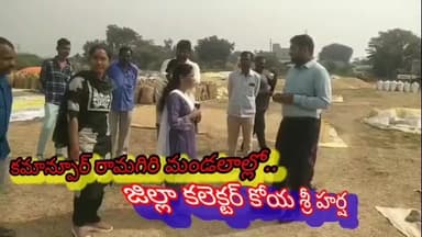 మంథని: నాణ్యమైన ధాన్యాన్ని వేగవంతంగా కొనుగోలు చేయాలి : జిల్లా కలెక్టర్ కోయ శ్రీ హర్ష