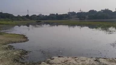 ગરબાડા: ગરબાડા તાલુકાના સીમલીયામાં નળ સે જળ યોજના પાછળ લાખોના ખર્ચ બાદ પણ , ગ્રામજનો તળાવના પાણીમાં ઉતરી કુવા પરથી પાણી લાવા ...