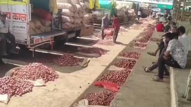 पोलायकलां: पोलाय कला मंडी में प्याज के भाव गिरे, किसानों के लिए लागत निकालना मुश्किल, लहसुन का भाव भी जानें