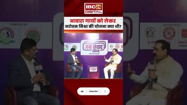 आवारा गायों को लेकर नरोत्तम मिश्रा की योजना क्या थी? #mpnews #narottammishra #straycows