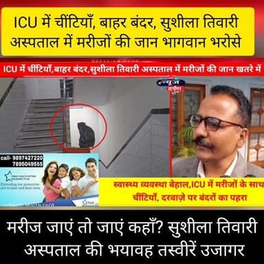 हल्द्वानी के इस अस्पताल का हाल देख चौक जाएंगे आप,ICU में चींटियां बाहर बंदर....भगवान भरोसे चल रहे मरीज...
#HALDWANINEWS