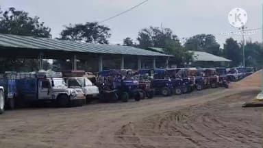 बड़ौद: कृषि उपज मंडी बडौद में आज लगभग 2700 बोरी की आवक, सोयाबीन का भाव ₹4821 प्रति क्विंटल