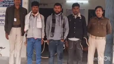 तुरकौलिया: तुरकौलिया पुलिस ने जयसिंहपुर बाबू टोला से 3 बाइक पर लदे 300 लीटर देशी शराब के साथ 3 तस्करों को न्यायिक हिरासत में भेजा