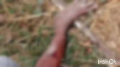 भाटपार रानी: कंचनपुर पथरदेवा मार्ग पर बकरी चरा रही बुजुर्ग महिला को बाइक सवार ने मारी ठोकर, हुई घायल