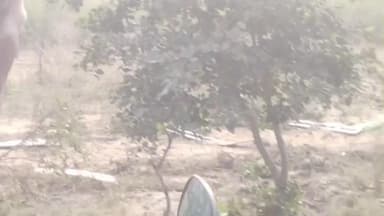 सारंगपुर: पचोर सारंगपुर हाईवे पर भीषण हादसा, बस और ट्रैक्टर की टक्कर में 30 यात्री घायल, नींद की झपकी आई