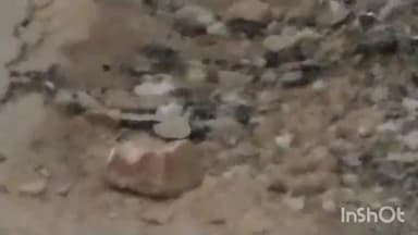 मालथोन: मालथौन में पाइपलाइन डालने के लिए खोदी गई सड़कों की मरम्मत न होने से नगरवासी परेशान