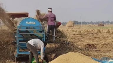 रुपौली: रूपोली में 26 दिनों में मात्र 26 कुंटल से कुछ ज्यादा खरीददारी हुई