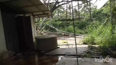 ആലുവ: കാലടിയിലെത്തുന്ന അയ്യപ്പഭക്തർ അടിസ്ഥാന സൗകര്യങ്ങൾ ഇല്ലാതെ വിഷമിക്കുന്നു