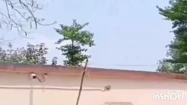 चौसा: चौसा थाना पुलिस ने बिहार मद्दनिषेध अधिनियम के मामले में दो अभियुक्तों को किया गिरफ्तार