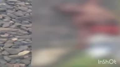 तोपचांची: रामकुंडा होल्ट के पास ट्रेन से कटकर अज्ञात की मौत, गोमो-धनबाद रेलवे मार्ग पर हादसा