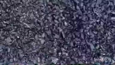 द्वाराहाट: ऐना–जाख मोटर मार्ग पर पेंच भरान कार्य की गुणवत्ता पर उठे सवाल, सुरक्षा दीवार का निर्माण कार्य भी अधर में लटका