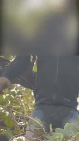 रावतभाटा: शंभूपुरा के जंगलों में रहस्यमयी मौत की परते खुलीं, जेब में मिले आधार कार्ड ने लौटाई पहचान, परिवार पर टूटा दुखों का सैलाब