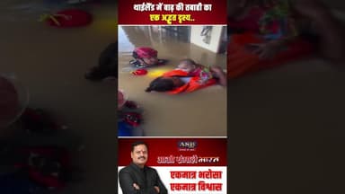 थाईलैंड में बाढ़ की तबाही का एक अद्भुत दृश्य #thailand #viralvideo #newsupdate #viral #flood