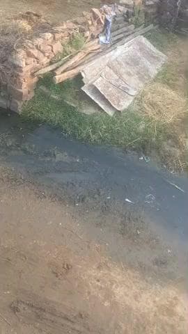 सकतपुर पंचायत के ग्राम खानपुरिया में किचड़ पानी से परेशान लोग,नहीं हो रही नालियों की साफ सफाई