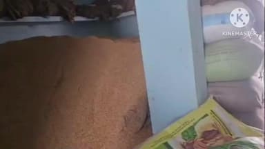 भाटापारा: भाटापारा के मोपका में अवैध धान पर संयुक्त टीम की बड़ी कार्रवाई, ₹7 लाख 69 हजार के 349 क्विंटल अवैध धान किया गया जब्त